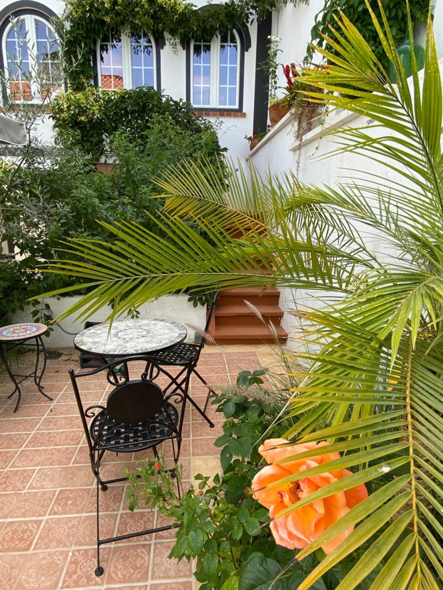 Patio Da Villa - Coruche Boutique Guest House Экстерьер фото
