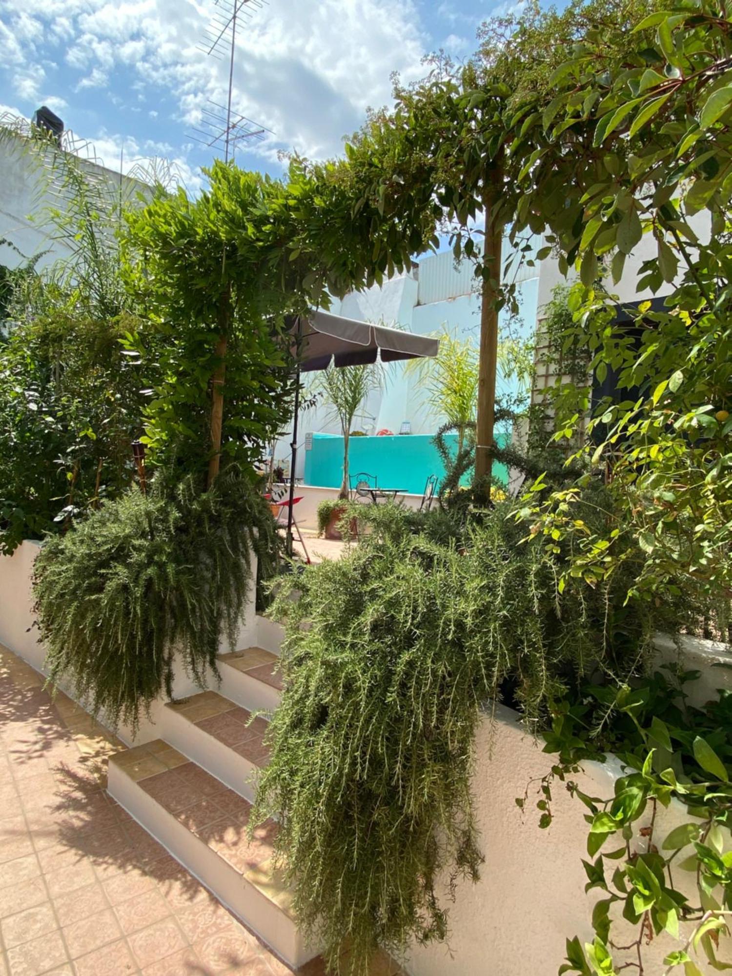 Patio Da Villa - Coruche Boutique Guest House Экстерьер фото
